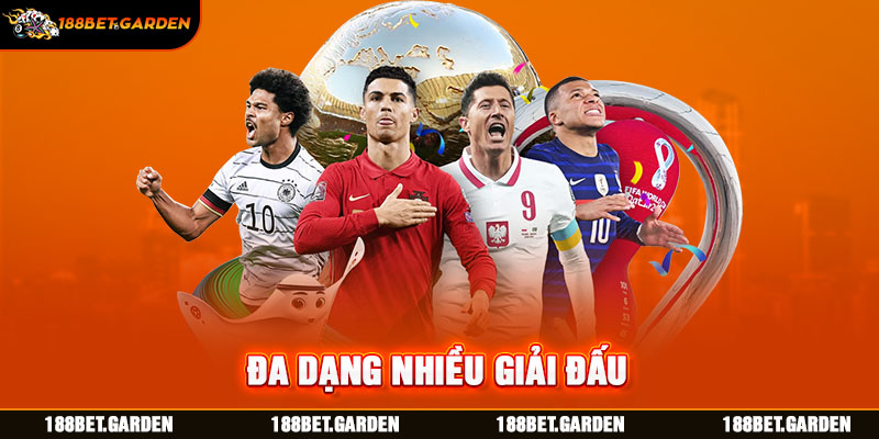 Đa dạng nhiều giải đấu