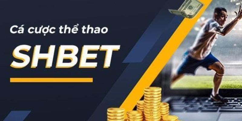 Sảnh thể thao được đơn vị đầu tư lớn từ thể loại để tỷ lệ cược
